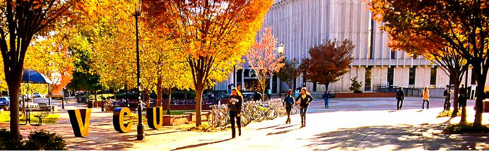 VCU Library from Shafer Court